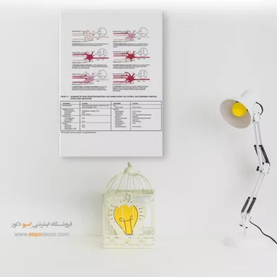 تابلو آناتومی - اسپو دکور