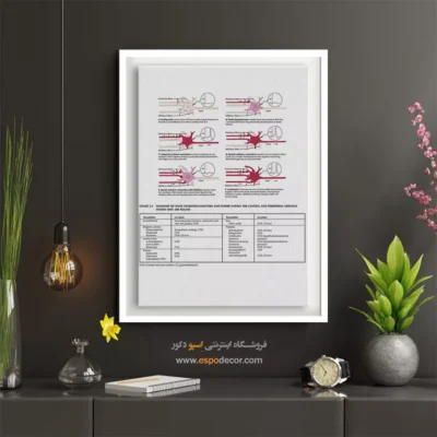 تابلو آناتومی - اسپو دکور