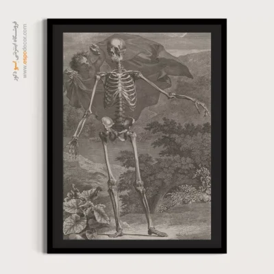 تابلو آناتومی - اسپو دکور