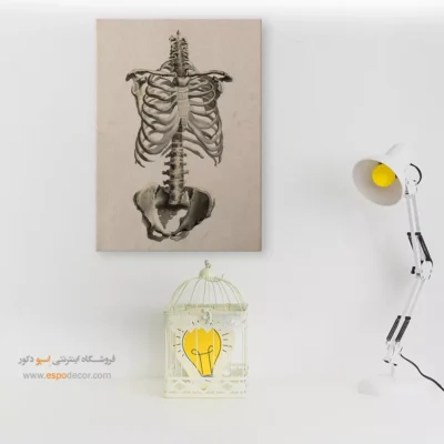 تابلو آناتومی - اسپو دکور