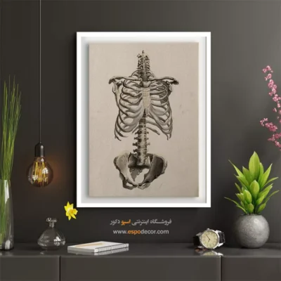 تابلو آناتومی - اسپو دکور