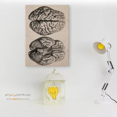 تابلو آناتومی - اسپو دکور