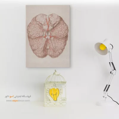 تابلو آناتومی - اسپو دکور