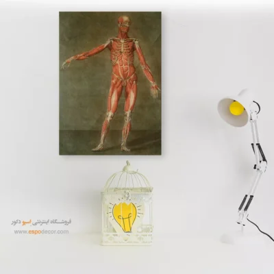 تابلو آناتومی - اسپو دکور