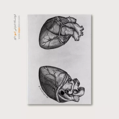 تابلو آناتومی - اسپو دکور