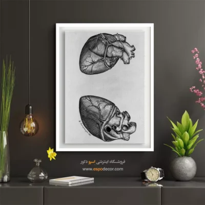 تابلو آناتومی - اسپو دکور