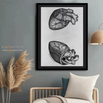 تابلو آناتومی - اسپو دکور