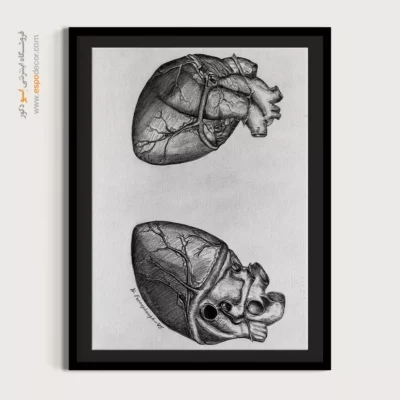 تابلو آناتومی - اسپو دکور