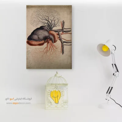 تابلو آناتومی - اسپو دکور