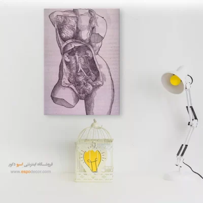 تابلو آناتومی - اسپو دکور