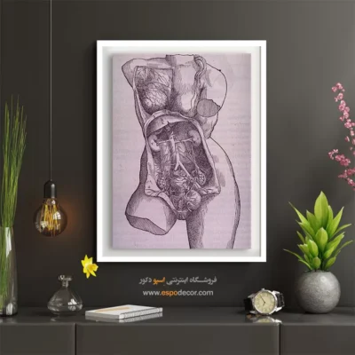 تابلو آناتومی - اسپو دکور