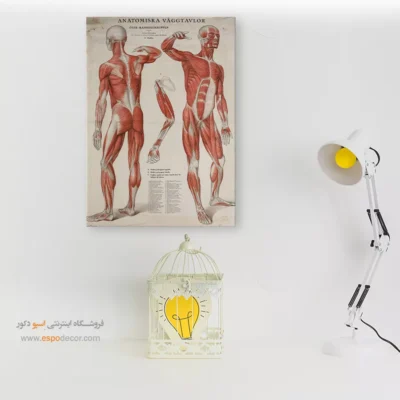 تابلو آناتومی - اسپو دکور