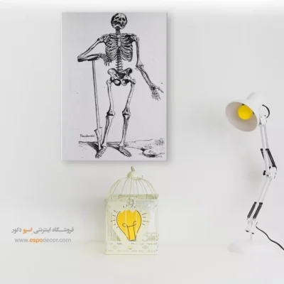 تابلو آناتومی - اسپو دکور