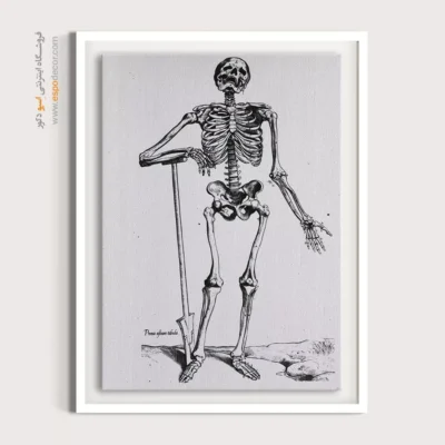 تابلو آناتومی - اسپو دکور