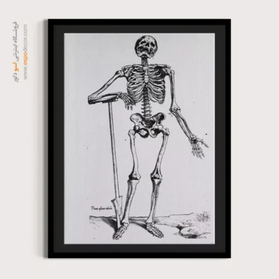 تابلو آناتومی - اسپو دکور