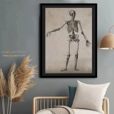 تابلو آناتومی - اسپو دکور
