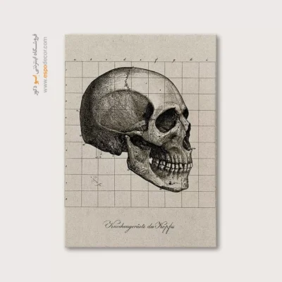 تابلو آناتومی - اسپو دکور