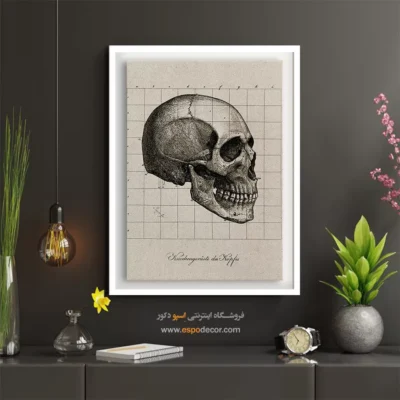 تابلو آناتومی - اسپو دکور