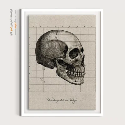 تابلو آناتومی - اسپو دکور