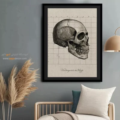 تابلو آناتومی - اسپو دکور