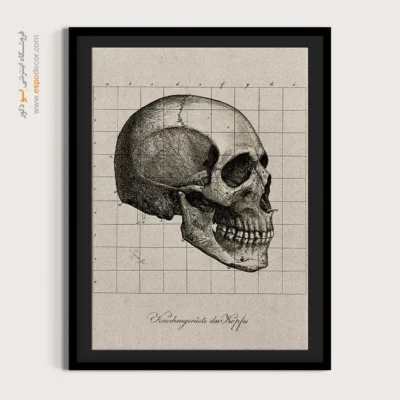 تابلو آناتومی - اسپو دکور