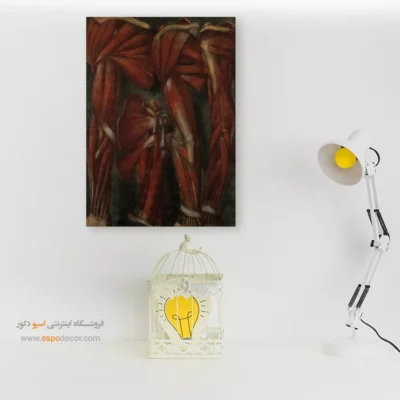 تابلو آناتومی - اسپو دکور