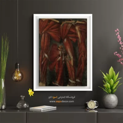 تابلو آناتومی - اسپو دکور