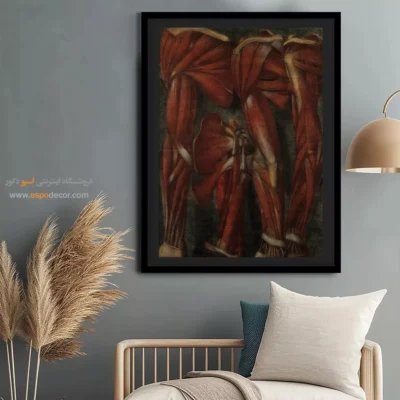 تابلو آناتومی - اسپو دکور