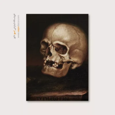 تابلو آناتومی - اسپو دکور