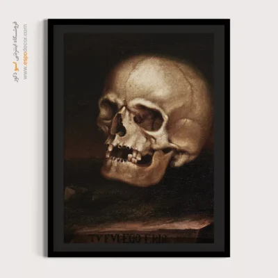 تابلو آناتومی - اسپو دکور