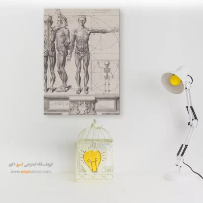 تابلو آناتومی - اسپو دکور