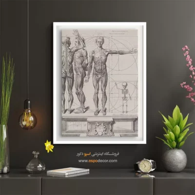تابلو آناتومی - اسپو دکور