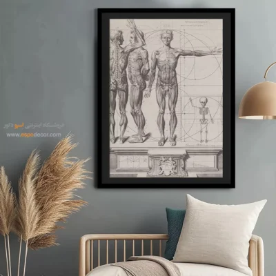 تابلو آناتومی - اسپو دکور