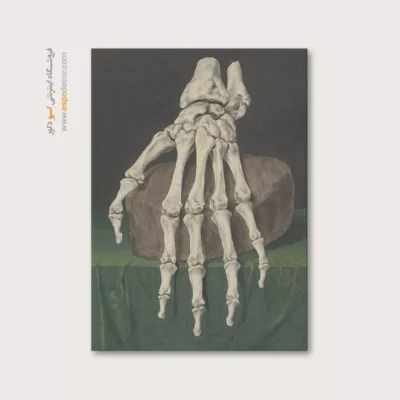 تابلو آناتومی - اسپو دکور