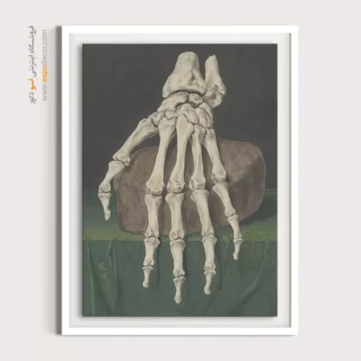 تابلو آناتومی - اسپو دکور