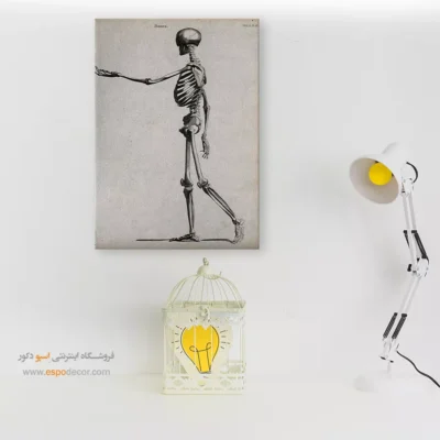 تابلو آناتومی - اسپو دکور