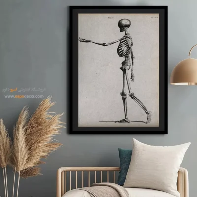 تابلو آناتومی - اسپو دکور