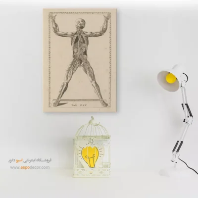 تابلو آناتومی - اسپو دکور