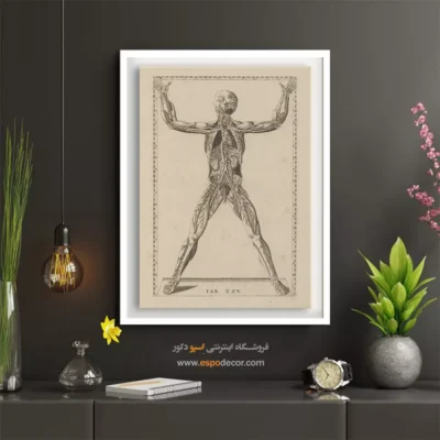 تابلو آناتومی - اسپو دکور