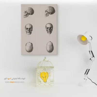 تابلو آناتومی - اسپو دکور