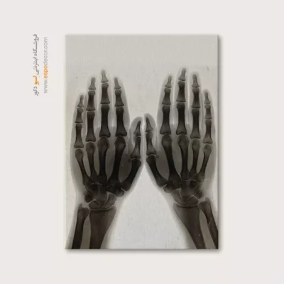 تابلو آناتومی - اسپو دکور