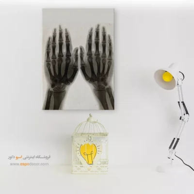 تابلو آناتومی - اسپو دکور