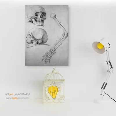 تابلو آناتومی - اسپو دکور