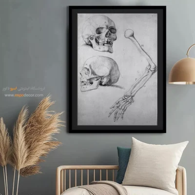 تابلو آناتومی - اسپو دکور