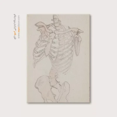 تابلو آناتومی - اسپو دکور