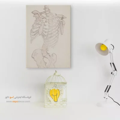 تابلو آناتومی - اسپو دکور