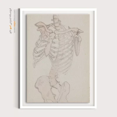 تابلو آناتومی - اسپو دکور