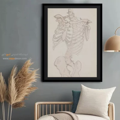 تابلو آناتومی - اسپو دکور