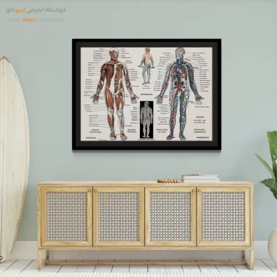 تابلو آناتومی - اسپو دکور