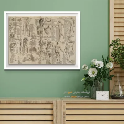 تابلو آناتومی - اسپو دکور